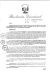 Vista preliminar de documento RD_2015_240_COPESCO