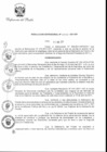 Vista preliminar de documento RD-011-2011-DP.pdf