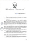 Vista preliminar de documento RD_2015_250_COPESCO