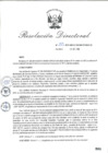 Vista preliminar de documento RD_2015_253_COPESCO