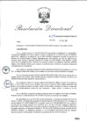 Vista preliminar de documento RD_2015_254_COPESCO