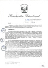 Vista preliminar de documento RD_2015_255_COPESCO