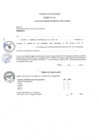 Vista preliminar de documento FORMATOS CAS_002-2019-MPV.pdf