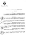 Vista preliminar de documento RSG-019-2011-DP-SG.pdf