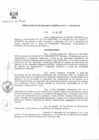 Vista preliminar de documento RSG-054-2011-DP.pdf