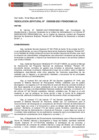Vista preliminar de documento Resolución Jefatural