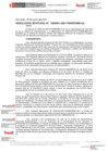Vista preliminar de documento Resolución Jefatural
