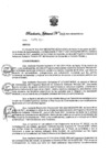 Vista preliminar de documento Resolución Jefatural