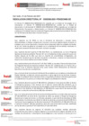 Vista preliminar de documento Resolución Directoral
