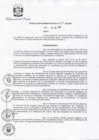 Vista preliminar de documento RA-029-2016-DP.pdf