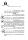 Vista preliminar de documento RA-020-2017-DP-PAD-I.pdf