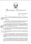Vista preliminar de documento RD_2015_256_COPESCO