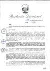 Vista preliminar de documento RD_2015_258_COPESCO