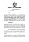 Vista preliminar de documento RD 043-2021.pdf