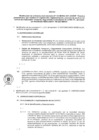 Vista preliminar de documento Anexo