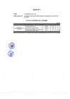 Vista preliminar de documento Anexo Nº 1