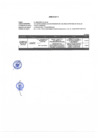 Vista preliminar de documento Anexo Nº 2