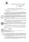 Vista preliminar de documento R.G.G.R. Nro. 124-2021-GGR-GR PUNO.pdf