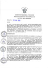 Vista preliminar de documento 206-2021-GG.pdf