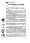 Vista preliminar de documento Resolucion_2021_192.pdf