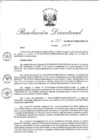 Vista preliminar de documento RD_2015_261_COPESCO