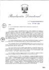 Vista preliminar de documento RD_2015_264_COPESCO