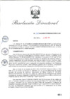 Vista preliminar de documento RD_2015_265_COPESCO