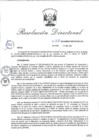 Vista preliminar de documento RD_2015_268_COPESCO