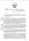 Vista preliminar de documento RD_2015_270_COPESCO
