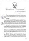Vista preliminar de documento RD_2015_278_COPESCO