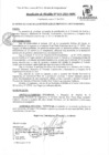 Vista preliminar de documento Resolución de Alcaldía
