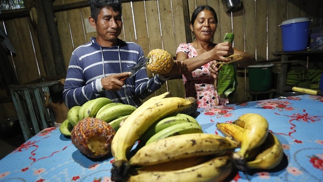 Casi 7 millones de ciudadanos indígenas y afroperuanos se beneficiarán con la incorporación de variable étnica en servicios de las entidades públicas