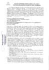 Vista preliminar de documento Acta de primera Audiencia Virtual - 2020.pdf