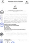 Vista preliminar de documento Acta de segunda Audiencia Virtual - 2020.pdf