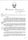 Vista preliminar de documento RD_2015_304_COPESCO