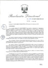 Vista preliminar de documento RD_2015_316_COPESCO