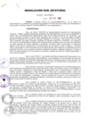 Vista preliminar de documento R.S.J. Nº 110-2010-INDECI.pdf