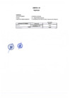 Vista preliminar de documento Anexo N° 3
