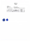 Vista preliminar de documento Anexo N°4