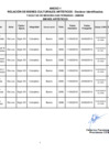 Vista preliminar de documento ANEXO R.R. N.º 006091 - 2021.