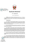 Vista preliminar de documento 0441-2021-IN.