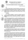 Vista preliminar de documento RG_265_2021.pdf