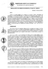 Vista preliminar de documento RG_243-2021.pdf