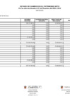 Vista preliminar de documento ESTADO DE CAMBIOS EN EL PATRIMONIO NETO.pdf