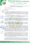Vista preliminar de documento RA-480-2016-MPLC/A