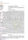 Vista preliminar de documento ORDENANZA MUNICIPAL N° 295-2021-MDP.pdf