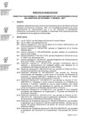 Vista preliminar de documento directiva06_2021EF4302.pdf