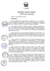 Vista preliminar de documento RER_911_2015.pdf