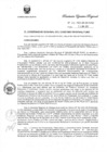Vista preliminar de documento R.E.R. Nro 217-2021-GR-GR PUNO.pdf