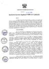 Vista preliminar de documento RER_896_2015.pdf